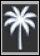עץ דקל לבן עם עלים מפורטים על רקע שחור. Description generated by AI