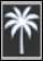 עץ דקל לבן עם עלים מפורטים על רקע שחור. Description generated by AI