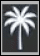 עץ דקל לבן עם עלים מפורטים על רקע שחור. Description generated by AI