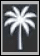 עץ דקל לבן עם עלים מפורטים על רקע שחור. Description generated by AI