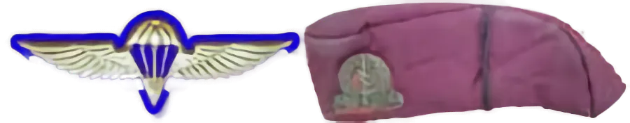 סמל כנפי צניחה לצד כובע בצבע סגול עם תג מתכת קטן. Description generated by AI