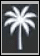 עץ דקל לבן עם עלים מפורטים על רקע שחור. Description generated by AI